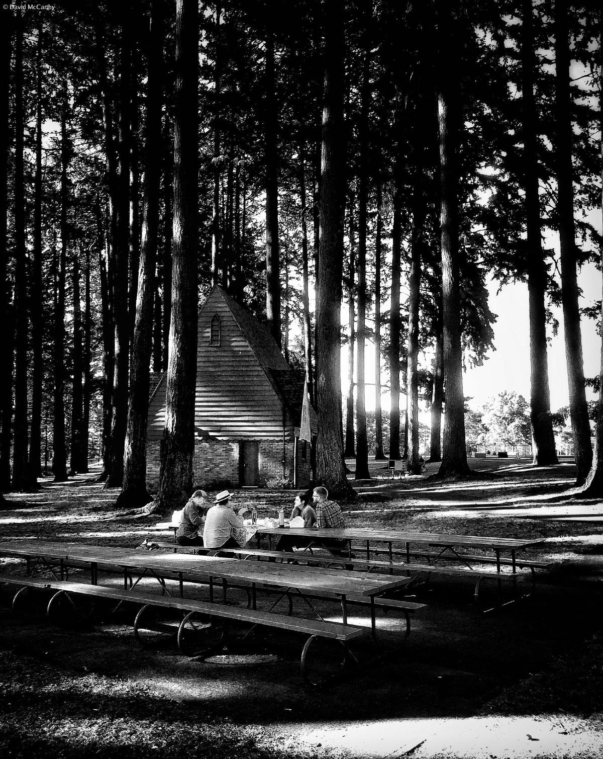 Black and white photograph of four people sharing a meal at a picnic table underneath large fir trees at Sellwood Park in Portland, Oregon
