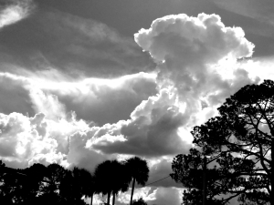  issue of Northwest Review.