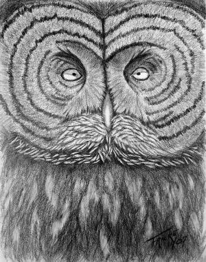  issue of Northwest Review.