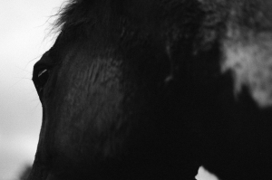  issue of Northwest Review.