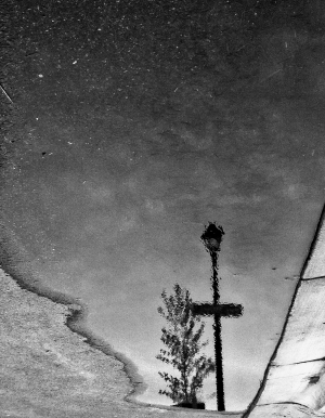  issue of Northwest Review.