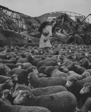  issue of Northwest Review.